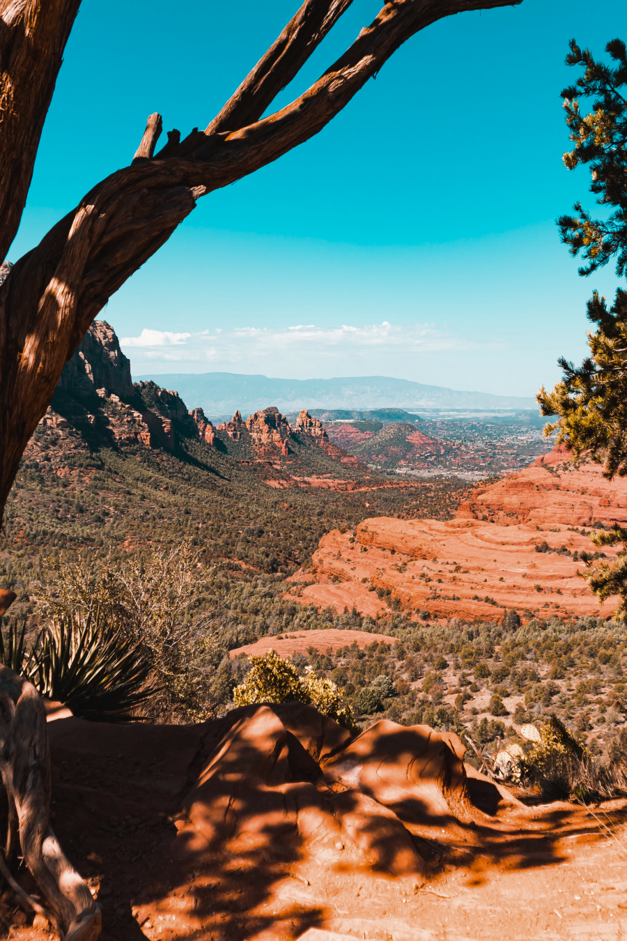 5 Best Free Camping Spots in Sedona, Arizona